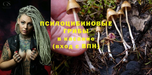не бодяженный Няндома