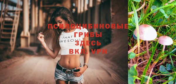 амф Нязепетровск