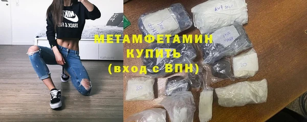 индика Богородицк