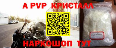 кокс Кингисепп