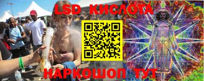 шишки Кинель