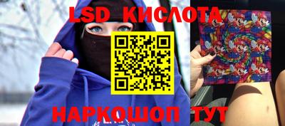 кокс Кингисепп