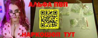 кокс Кингисепп