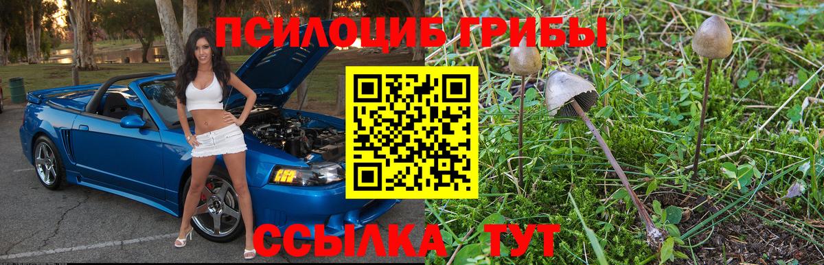 Галлюциногенные грибы MAGIC MUSHROOMS  где можно купить наркотик  Сухой Лог  Вход с VPN 