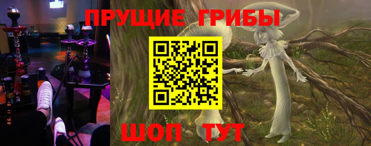 Галлюциногенные грибы мицелий Сухой Лог